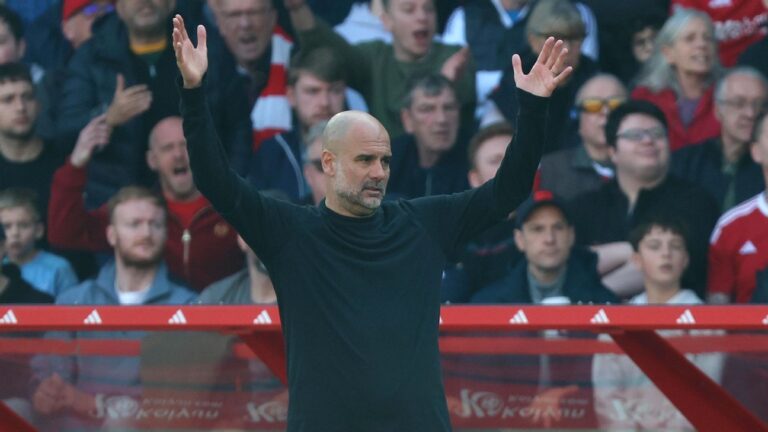 Man City's Champions League spot won't fall from sky - Guardiola